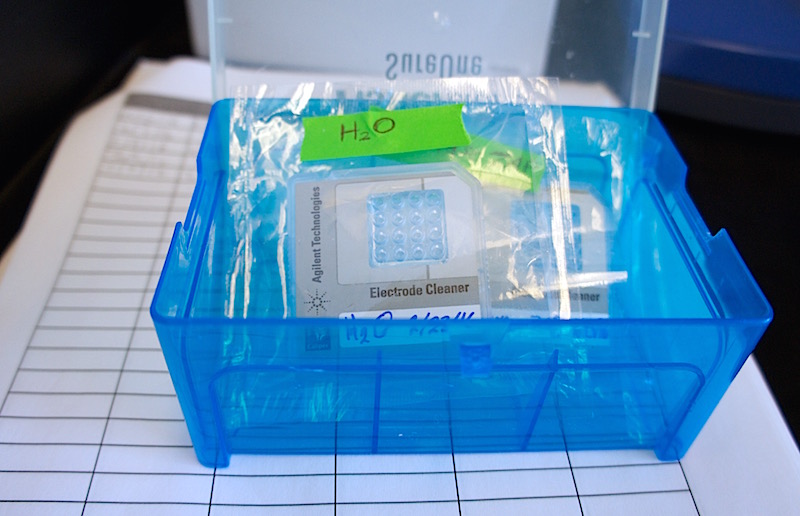 Chips for the bioanalyzer in Dr. Marco’s lab. The analyzer uses microfluidics to analyze DNA, RNA, protein, and cells using sample-specific chips.