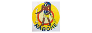 Regenerative Arthritis & Bone Medicine (RABOME)